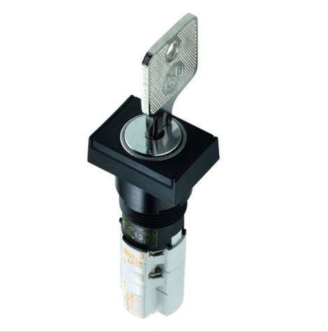 1.10.051.604/0001 | RAFI | Переключатель