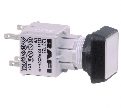 1.30.070.001/1002 | RAFI | Переключатель