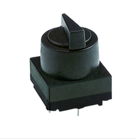 1.10.021.025/0221 | RAFI | Переключатель