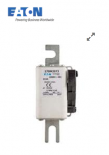170M5985 | Bussmann | Предохранитель