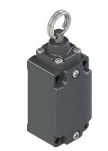 FD576 | PIZZATO ELETTRICA | Выключатель