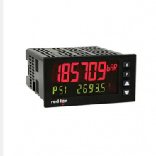 PAX2S000 | Red Lion | Измерительный прибор