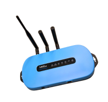 RG191 | Ezurio | Маршрутизатор