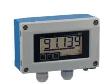 RIA15-AA1 | Endress+Hauser | Панельный измеритель