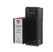 RN2A48D50 | Carlo Gavazzi | Реле