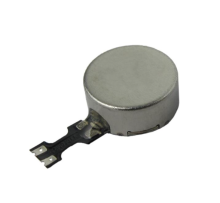 VG1036001D | Vybronics | Двигатель