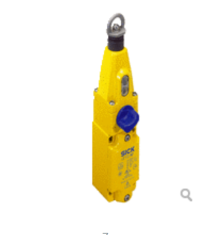 I110-RP313 | SICK | Выключатель (арт. 6025076)