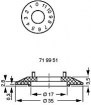 719951.jpg