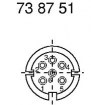 738751.jpg